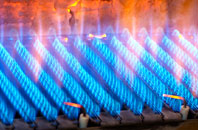 Covesea gas fired boilers